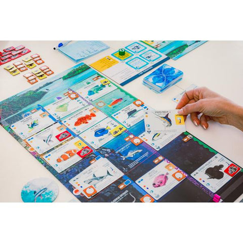 Image of Finspan Board Game